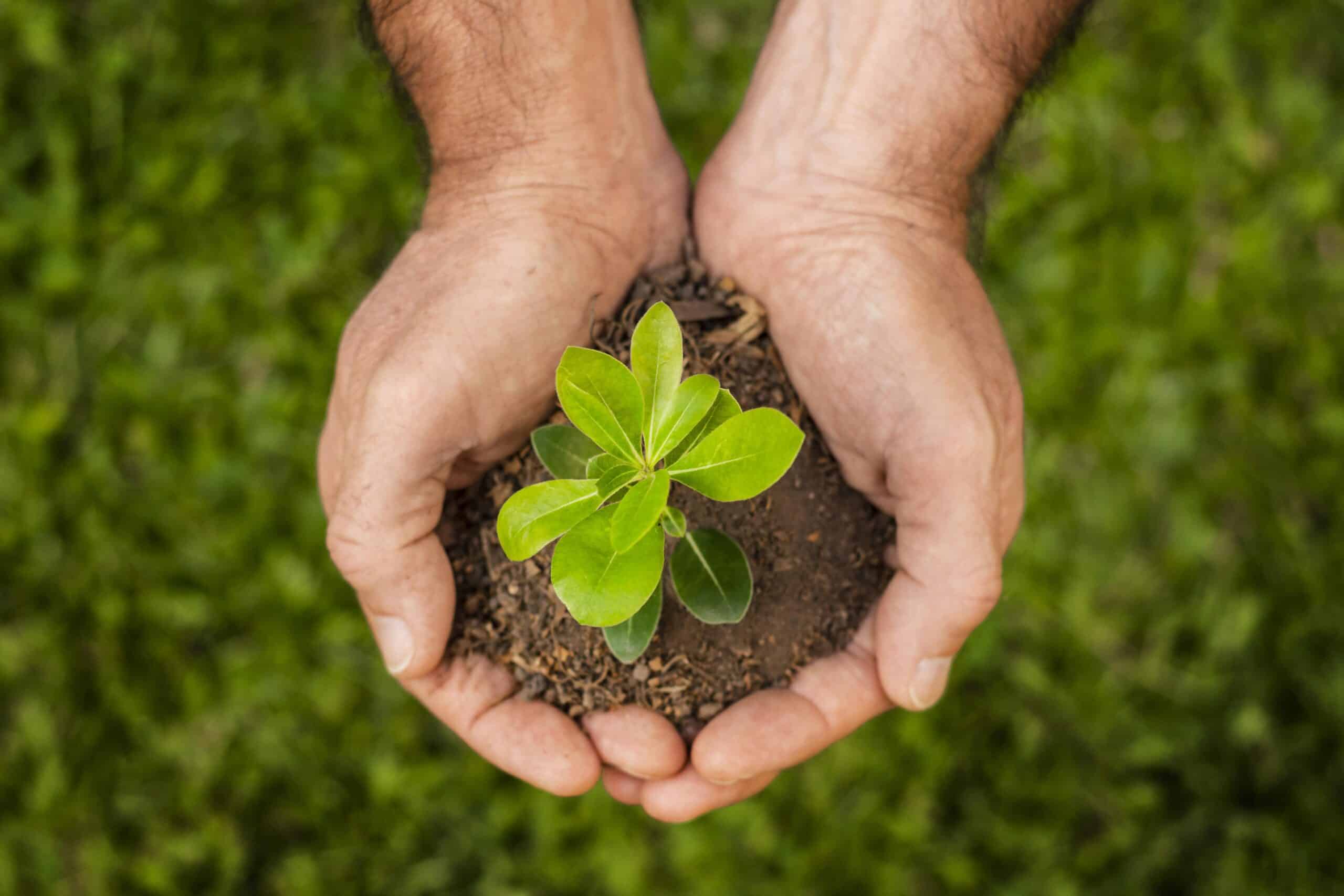 produits Clair de Baie écologie